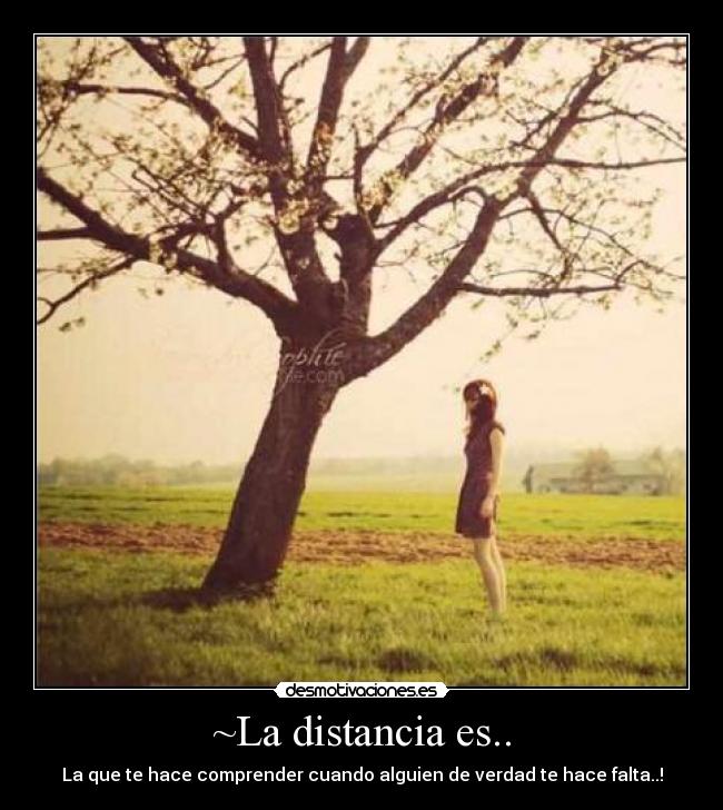 ~La distancia es.. - 