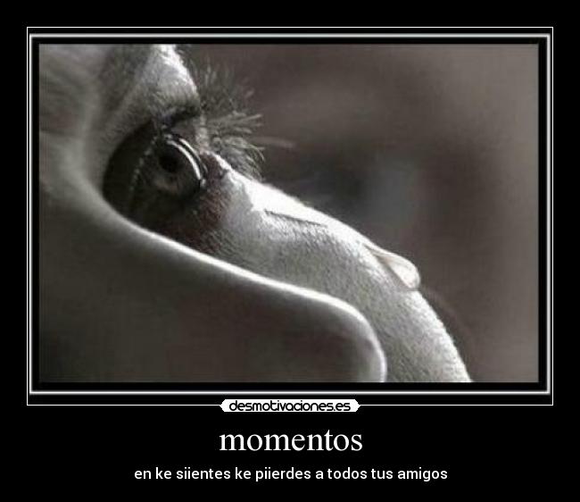 carteles iiii desmotivaciones