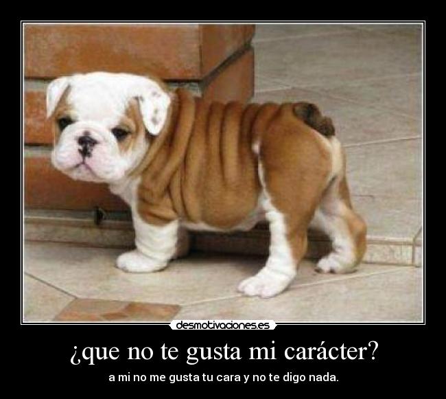 ¿que no te gusta mi carácter? - a mi no me gusta tu cara y no te digo nada.