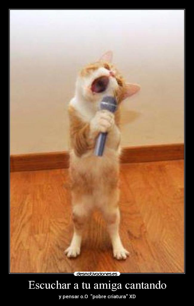 Escuchar a tu amiga cantando - y pensar o.O  pobre criatura XD