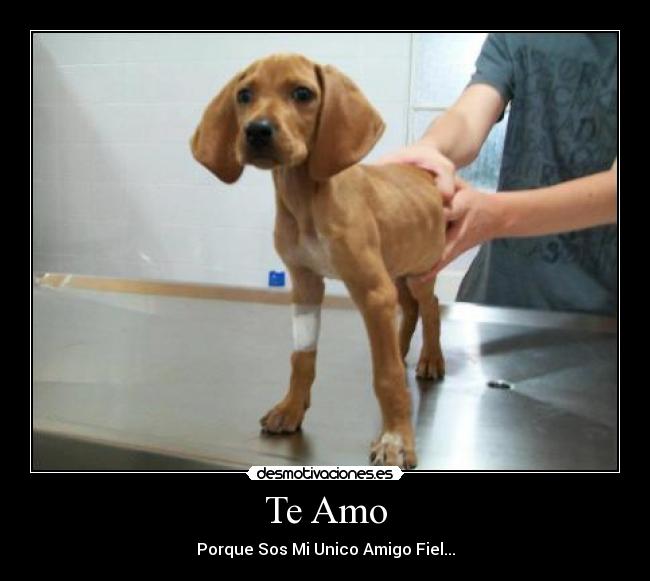 Te Amo -