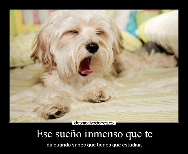 Ese sueño inmenso que te - da cuando sabes que tienes que estudiar.