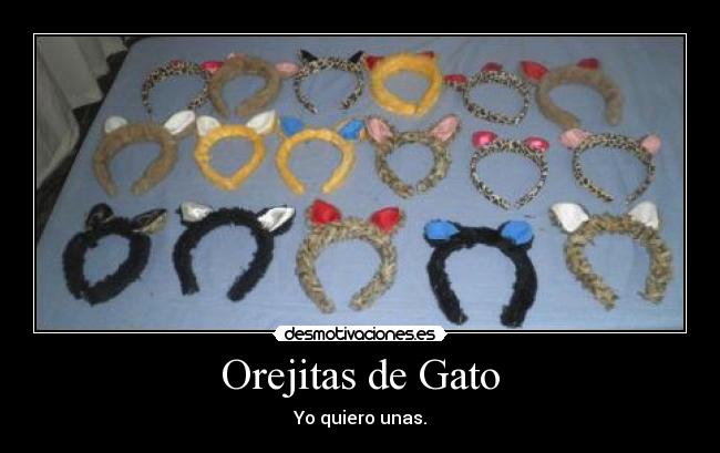 Orejitas de Gato - Yo quiero unas.