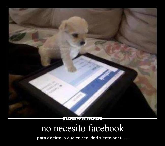 carteles facebook facebook desmotivaciones