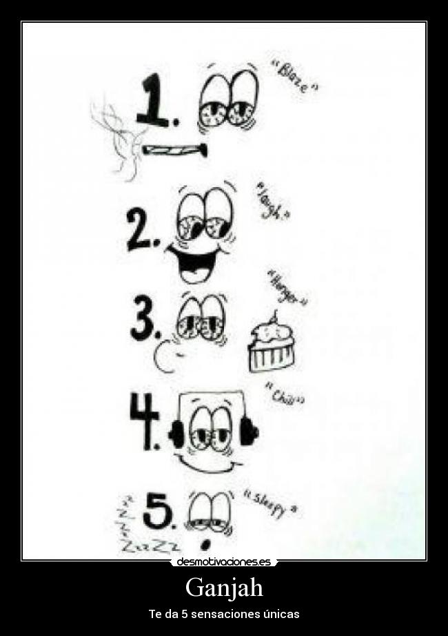 Ganjah - Te da 5 sensaciones únicas