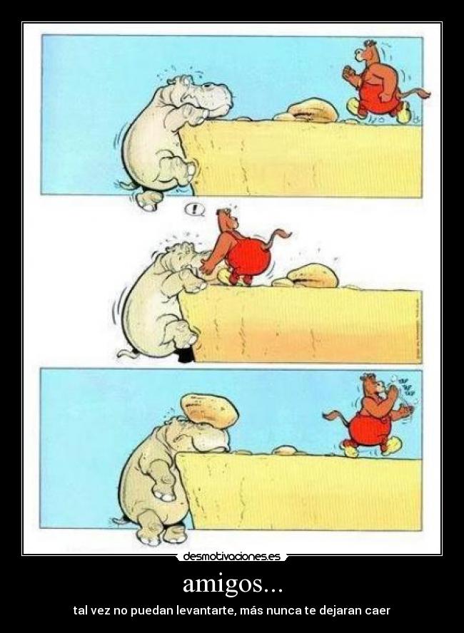 carteles amigos amigos desmotivaciones