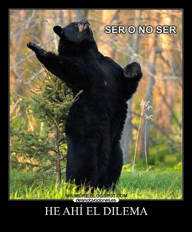 HE AHÍ EL DILEMA - 