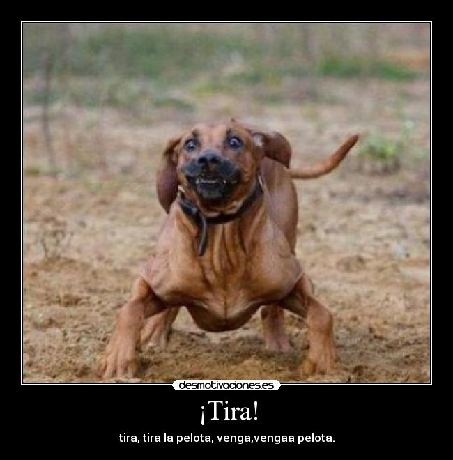 ¡Tira! - 