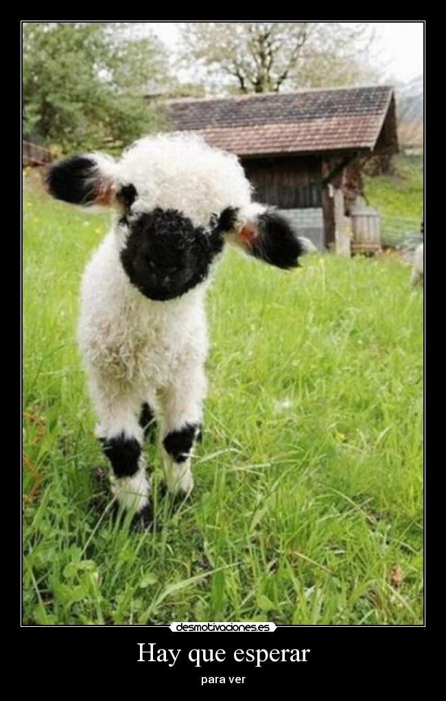 Hay que esperar -