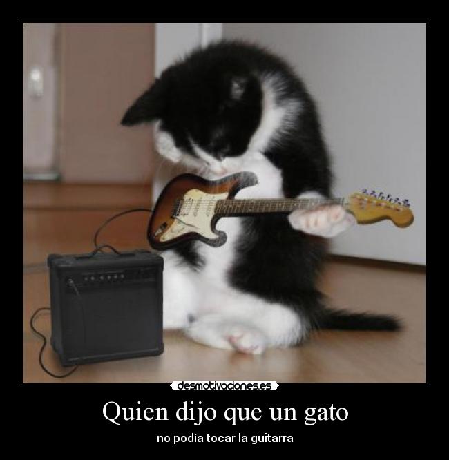 carteles elnegro desmotivaciones