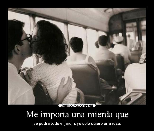 carteles love all need desmotivaciones