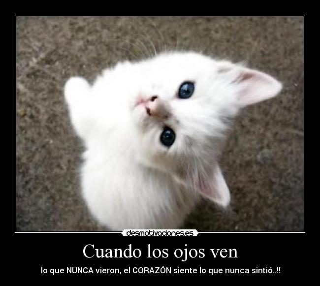 Cuando los ojos ven - lo que NUNCA vieron, el CORAZÓN siente lo que nunca sintió..!!