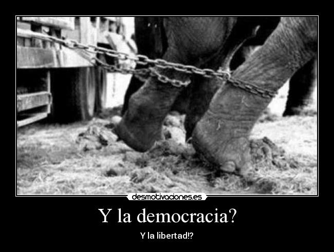 Y la democracia? -