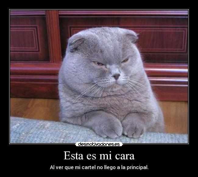 Esta es mi cara - Al ver que mi cartel no llego a la principal.