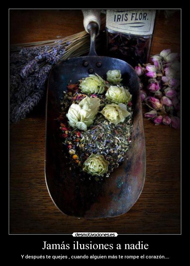 Jamás ilusiones a nadie - 