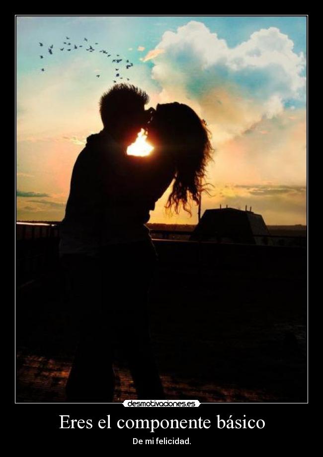 Eres el componente básico - De mi felicidad.