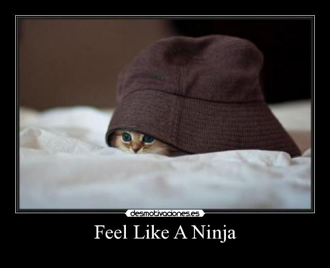 Feel Like A Ninja -