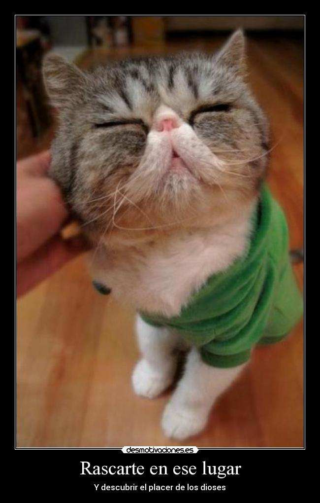 Rascarte en ese lugar - Y descubrir el placer de los dioses