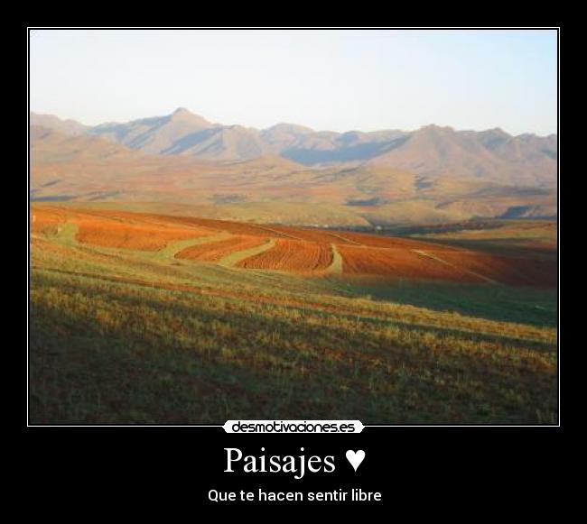 Paisajes ♥ -