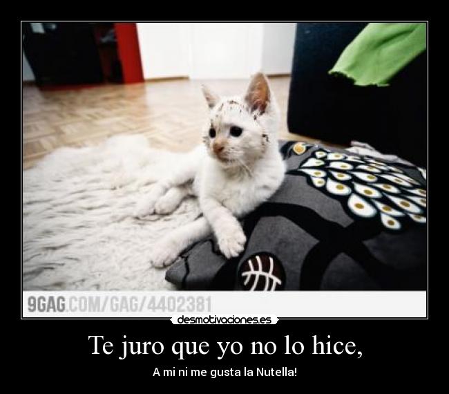 Te juro que yo no lo hice, - A mi ni me gusta la Nutella!