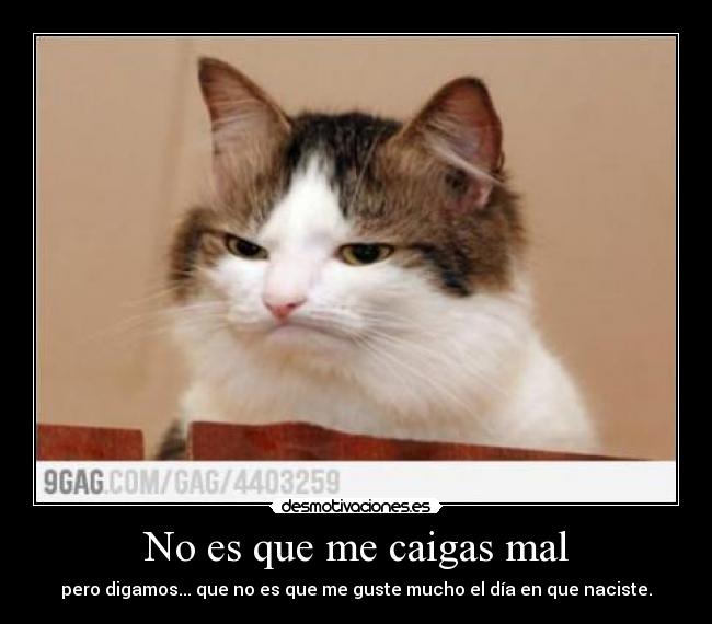 No es que me caigas mal - pero digamos... que no es que me guste mucho el día en que naciste.