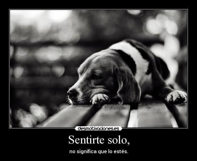 Sentirte solo, - no significa que lo estés.