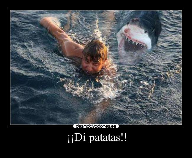 ¡¡Di patatas!! - 