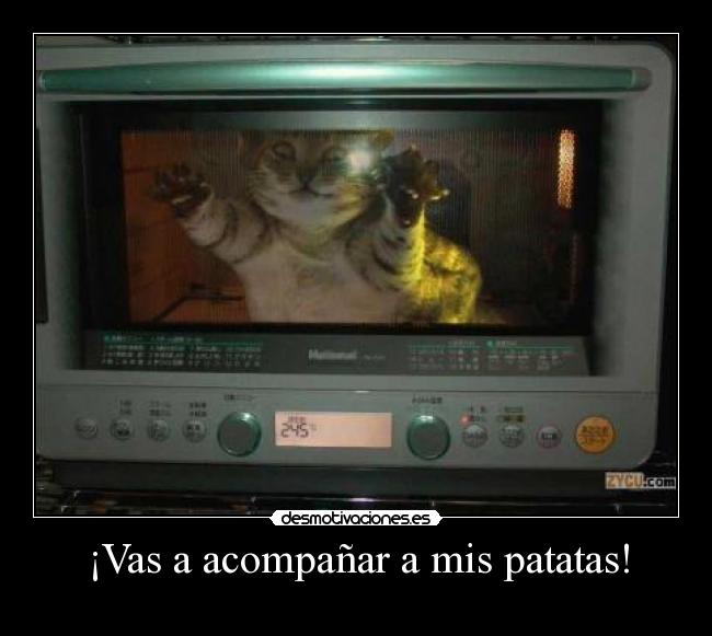 carteles clanbolaeras desmotivaciones