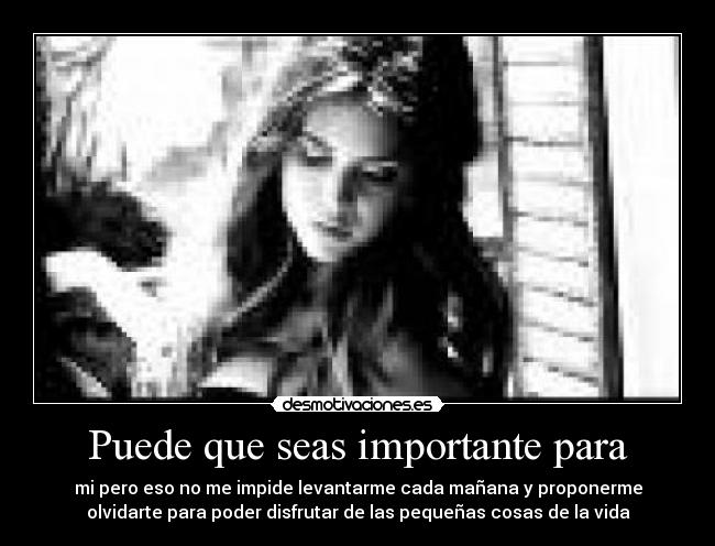 Puede que seas importante para - 