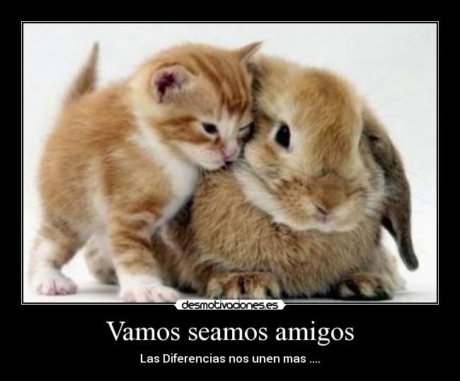 Vamos seamos amigos - Las Diferencias nos unen mas ....♥