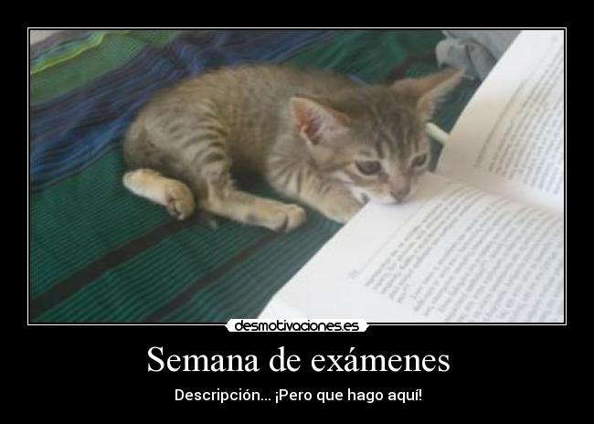 Semana de exámenes - Descripción... ¡Pero que hago aquí!