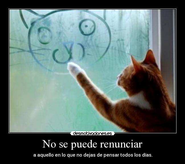 No se puede renunciar -