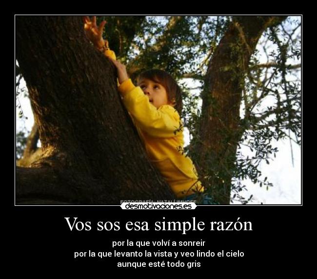 Vos sos esa simple razón - por la que volví a sonreir
por la que levanto la vista y veo lindo el cielo
aunque esté todo gris