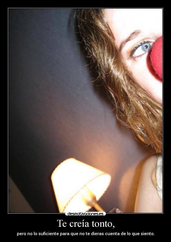 carteles tonto tontito bobito desmotivaciones
