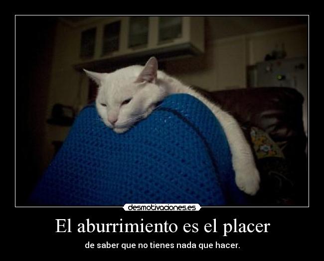 El aburrimiento es el placer - de saber que no tienes nada que hacer.