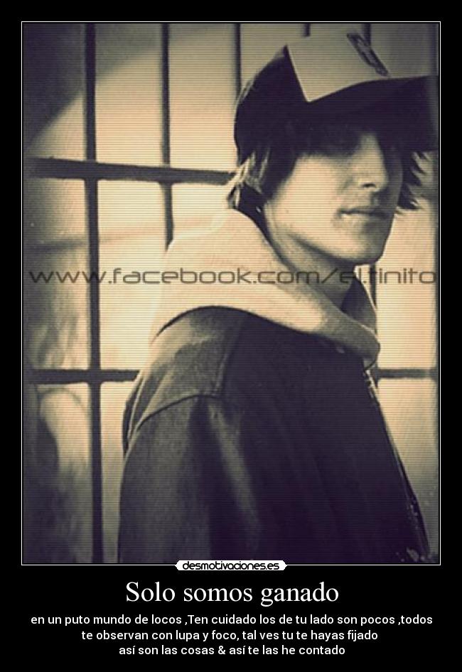 Solo somos ganado - en un puto mundo de locos ,Ten cuidado los de tu lado son pocos ,todos
te observan con lupa y foco, tal ves tu te hayas fijado
así son las cosas & así te las he contado