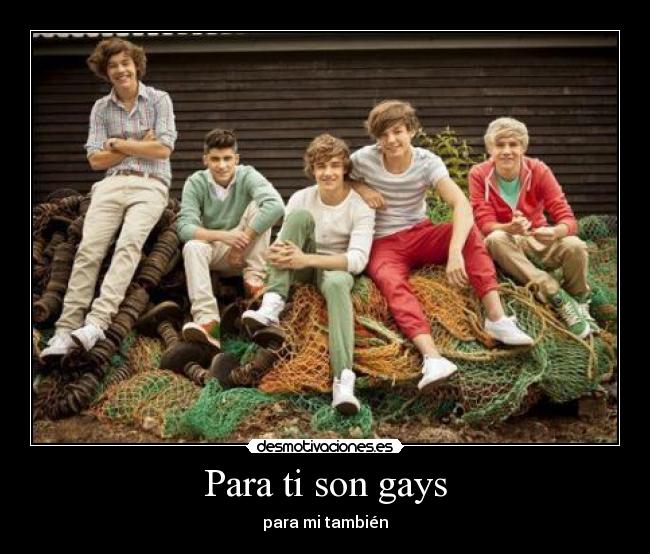 Para ti son gays - 