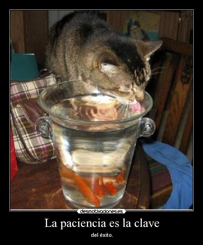 La paciencia es la clave - del éxito.