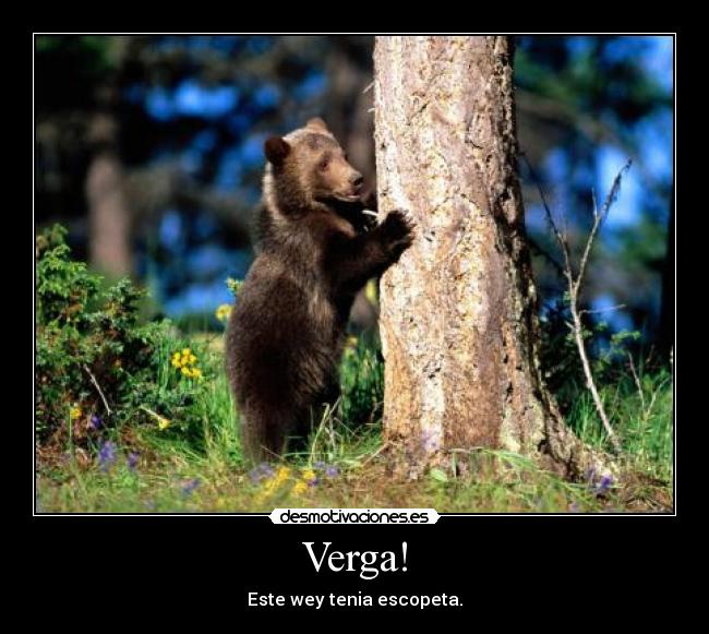 Verga! - 