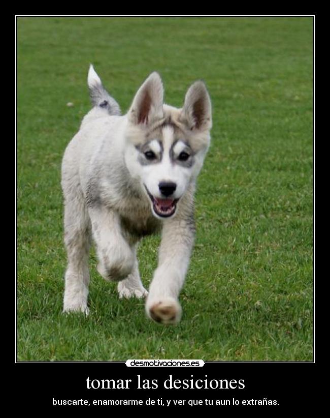 tomar las desiciones -