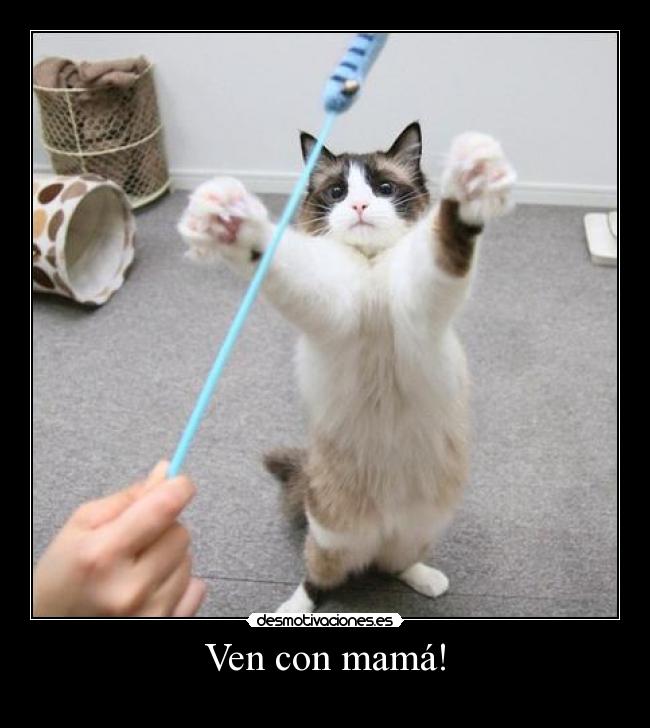 Ven con mamá! -