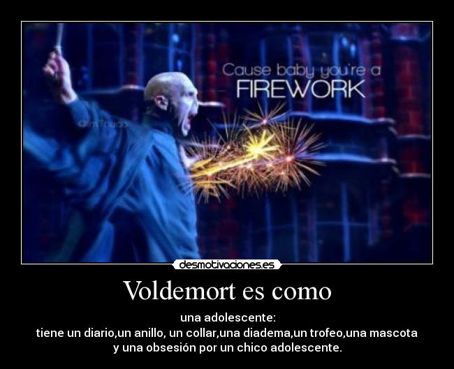 carteles voldemort vibes desmotivaciones