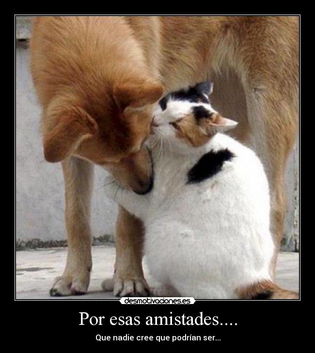 Por esas amistades.... - 