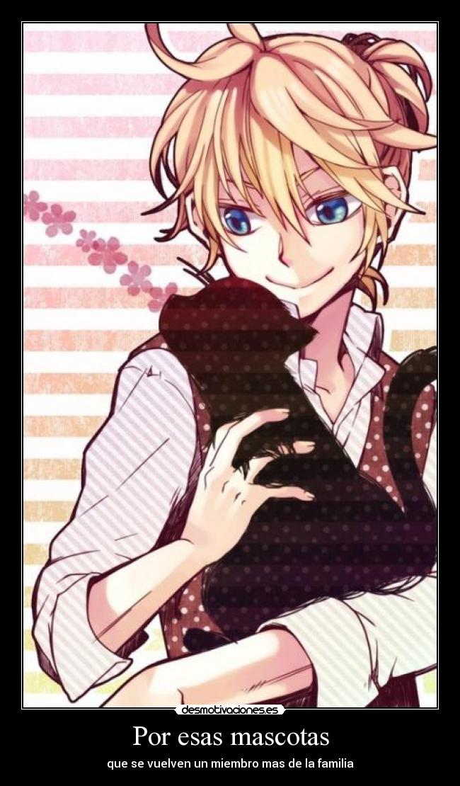 Por esas mascotas - que se vuelven un miembro mas de la familia
