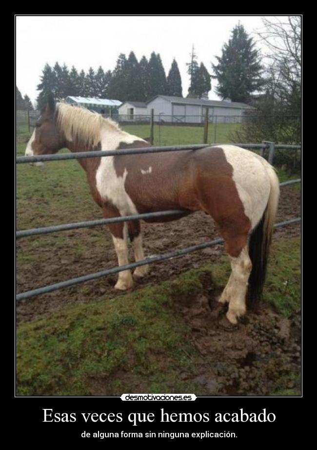 Esas veces que hemos acabado -