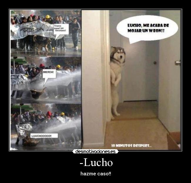-Lucho - hazme caso!!
