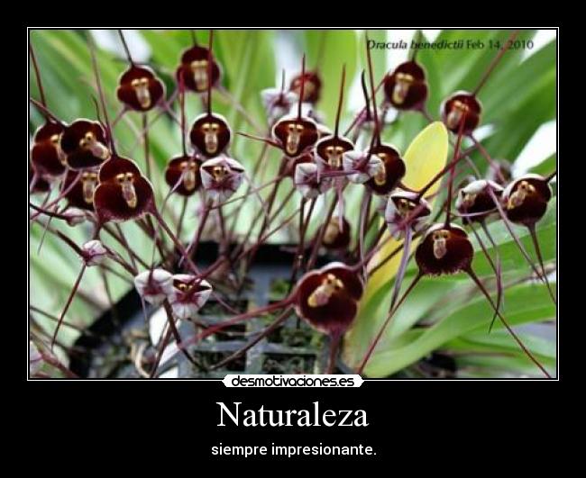 Naturaleza - siempre impresionante.