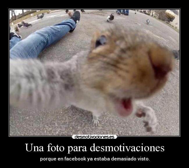 Una foto para desmotivaciones - 