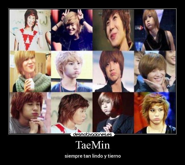 TaeMin - siempre tan lindo y tierno