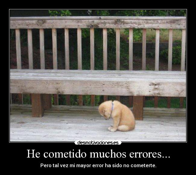 He cometido muchos errores... -